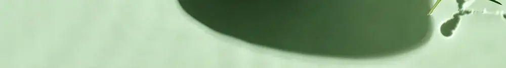 [모공/피지 클렌징] 티엘스 화이트 티트리 아크 플러스 팩클렌저 100ml 상세페이지 12